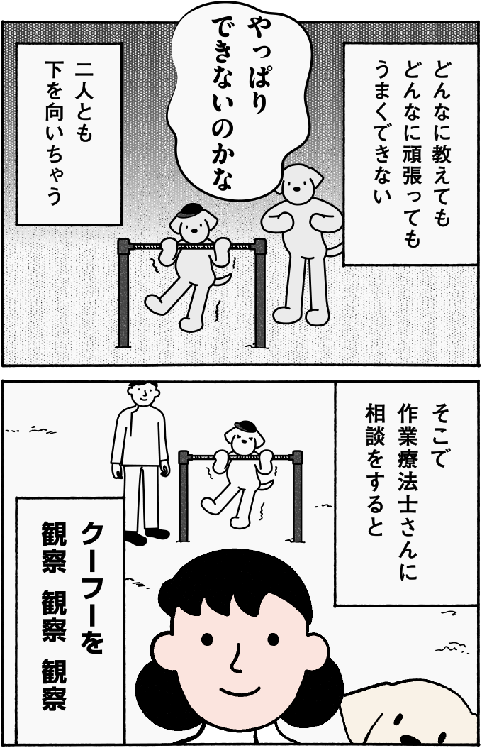 クーフーを観察